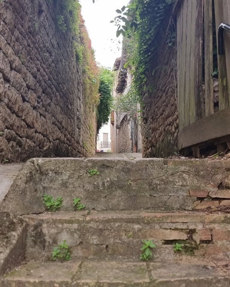 Marches en pierre fissurées dans une ruelle